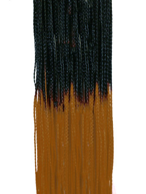 Hairshop ЗИЗИ омбре (пр) 1/27