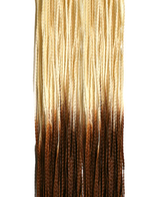 Hairshop ЗИЗИ омбре (пр) 613/27