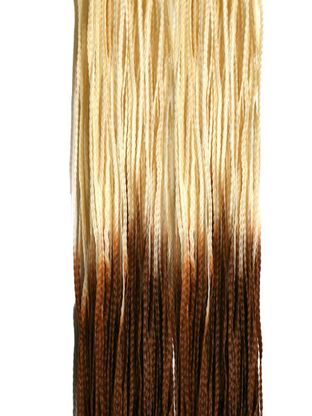 Hairshop ЗИЗИ омбре (пр) 613/27
