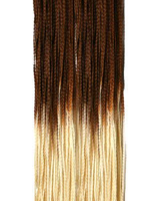 Hairshop ЗИЗИ омбре (пр) 27/613